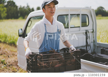vegetable field vegetable field 110301159