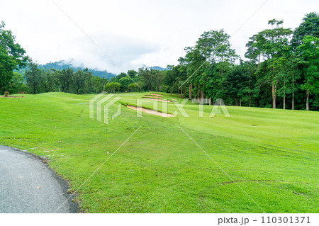 Green with Sand bunkers on Golf course Green with Sand bunkers on Golf course 110301371