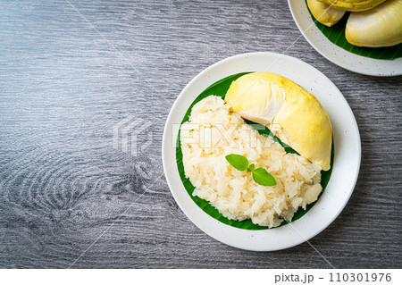 Durian sticky rice on plate Durian sticky rice on plate 110301976