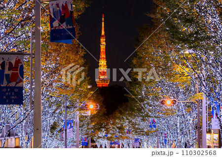 欅坂イルミネーション、東京タワー　六本木、 110302568