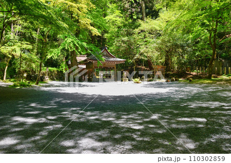 京都　新緑の貴船神社　奥宮の境内（京都府京都市） 110302859