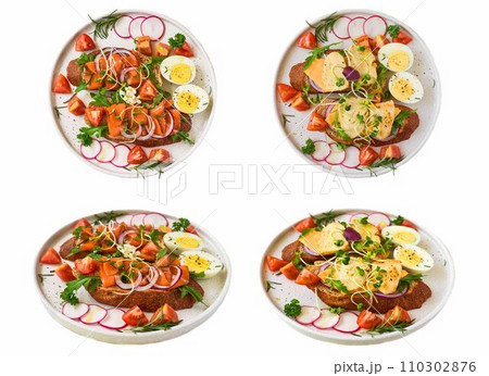 Set or collage of different type of sandwiches on white background with chicken and smoked salmon in side view and top view together Set or collage of different type of sandwiches on white background with chicken and smoked salmon in side view and top view together 110302876