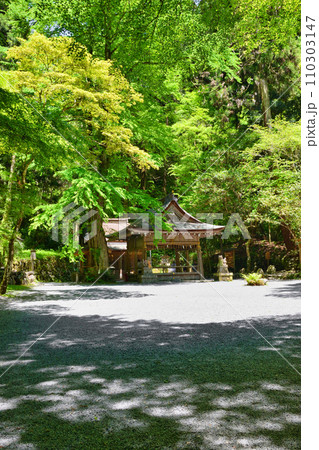 京都　新緑の貴船神社　奥宮の境内（京都府京都市） 110303147