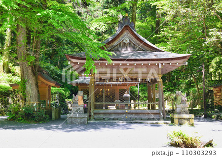 京都　新緑の貴船神社　奥宮（京都府京都市） 110303293