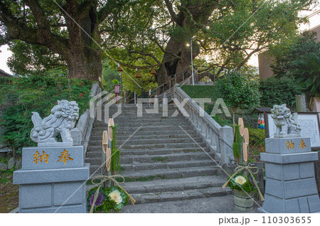 山王神社の入口に構える巨大な被爆クスノキ 山王神社の入口に構える巨大な被爆クスノキ 110303655