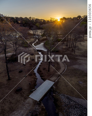 公園を跨ぐ橋の上から見た初日の出の風景（千葉県松戸市・21世紀の森と広場） 110303656