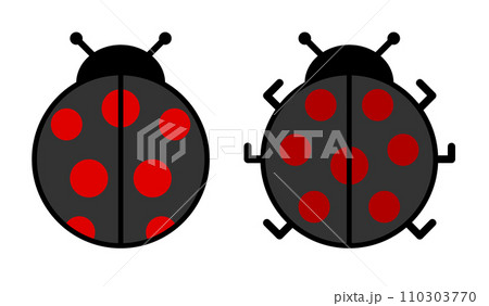 昆虫で人気の丸くて可愛いテントウ虫のイラスト 110303770