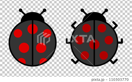 圓形可愛的瓢蟲(一種流行的昆蟲)的插圖 圓形可愛的瓢蟲(一種流行的昆蟲)的插圖 110303770