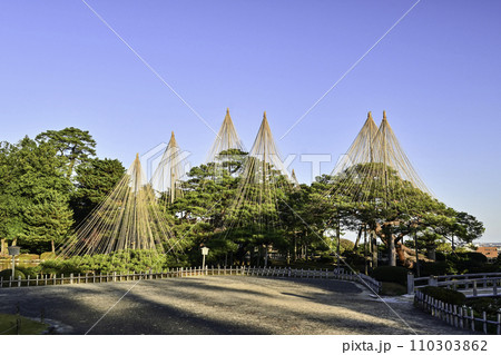 紅葉が美しい兼六園の初冬 110303862