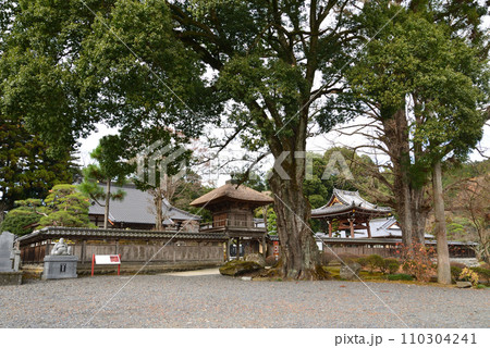 高徳寺　2022-12-4　＃3 110304241