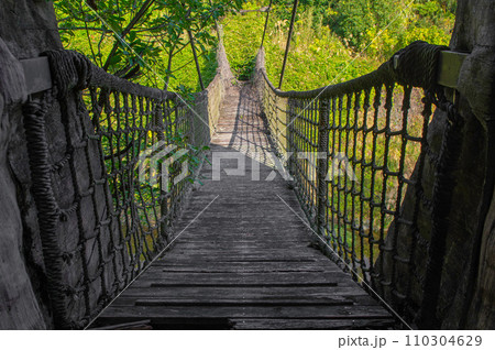 閉園となった植物園の廃墟 閉園となった植物園の廃墟 110304629