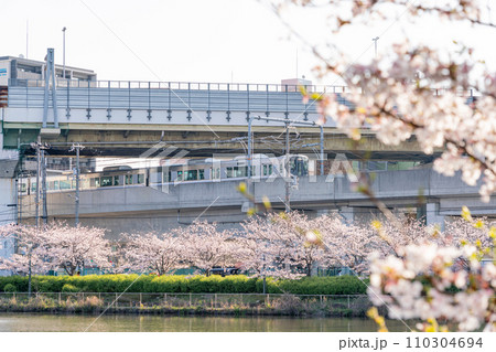 桃ヶ池公園の桜と電車 桃ヶ池公園の桜と電車 110304694
