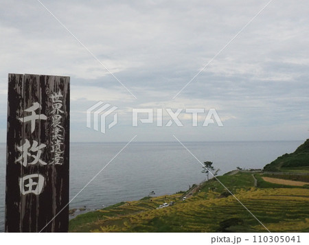 石川県　輪島市　白米千枚田　 110305041