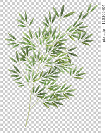 笹白背景_縦 笹白背景_縦 110305404