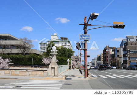国道2号線の業平橋と芦屋川の桜 国道2号線の業平橋と芦屋川の桜 110305799