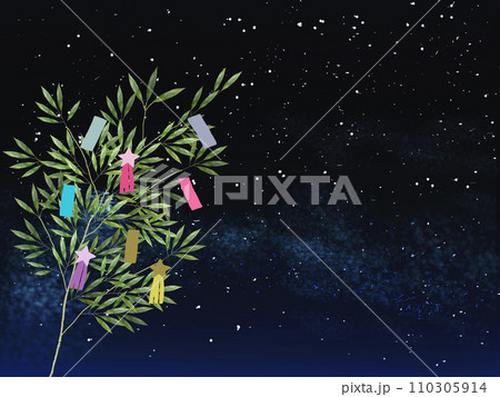 笹星空背景スペース_横 110305914