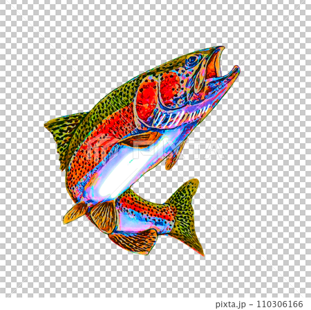 Rainbow trout 110306166