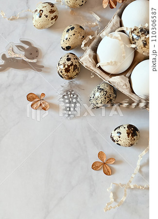 Composition with Easter eggs and branches on wite background.Postcard. 110306587