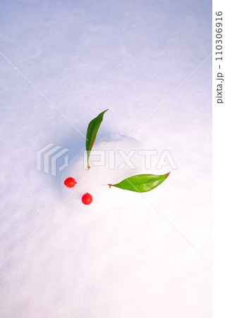 雪うさぎ 雪像 ウサギ うさぎ 兎 雪うさぎ 雪像 ウサギ うさぎ 兎 110306916