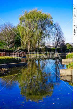 難波田城公園(埼玉県富士見市) 難波田城公園(埼玉県富士見市) 110308422
