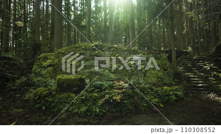 円座石　わろうだいし　大雲取超え　熊野古道　世界遺産　熊野　那智　和歌山　参道　信仰 110308552