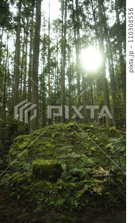 円座石　わろうだいし　大雲取超え　熊野古道　世界遺産　熊野　那智　和歌山　参道　信仰 110308556