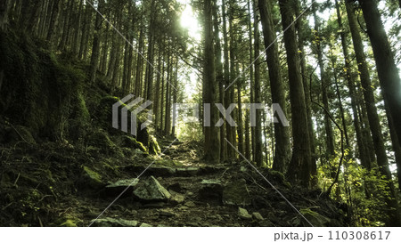 熊野古道 胴切り坂 大雲取超え 世界遺産 熊野 那智 和歌山 参道 信仰 熊野古道 胴切り坂 大雲取超え 世界遺産 熊野 那智 和歌山 参道 信仰 110308617