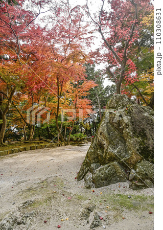 瓦屋禅寺(東近江市)境内の紅葉 瓦屋禅寺(東近江市)境内の紅葉 110308631
