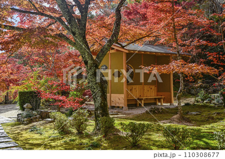 瓦屋禅寺(東近江市)境内の紅葉 瓦屋禅寺(東近江市)境内の紅葉 110308677