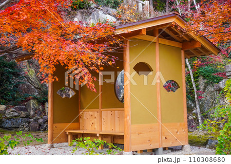 瓦屋禅寺（東近江市）境内の紅葉 110308680