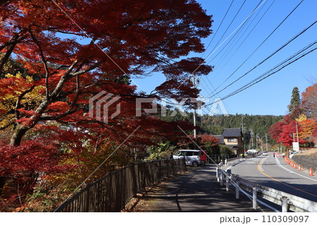 紅葉に包まれた東屋　紅葉　もみじ　山岳　豊田市稲武町　紅葉狩り　秋　散歩　風のつり橋 110309097