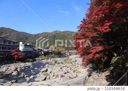 紅葉に包まれる秋の山寺　香嵐渓　紅葉　紅葉狩り　紅葉　もみじ　散策　豊田市　豊田市足助町　巴川 110309616