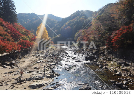 紅葉に包まれる秋の山寺　香嵐渓　紅葉　紅葉狩り　紅葉　もみじ　散策　豊田市　豊田市足助町　巴川 110309618