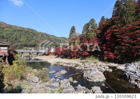 紅葉に包まれる秋の山寺　香嵐渓　紅葉　紅葉狩り　紅葉　もみじ　散策　豊田市　豊田市足助町　巴川 110309623