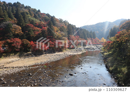 紅葉に包まれる秋の山寺 香嵐渓 紅葉 紅葉狩り 紅葉 もみじ 散策 豊田市 豊田市足助町 巴川 紅葉に包まれる秋の山寺 香嵐渓 紅葉 紅葉狩り 紅葉 もみじ 散策 豊田市 豊田市足助町 巴川 110309627