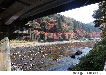 紅葉に包まれる秋の山寺 香嵐渓 紅葉 紅葉狩り 紅葉 もみじ 散策 豊田市 豊田市足助町 巴川 紅葉に包まれる秋の山寺 香嵐渓 紅葉 紅葉狩り 紅葉 もみじ 散策 豊田市 豊田市足助町 巴川 110309629