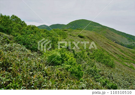 小杉山から和賀岳頂上への稜線 小杉山から和賀岳頂上への稜線 110310510