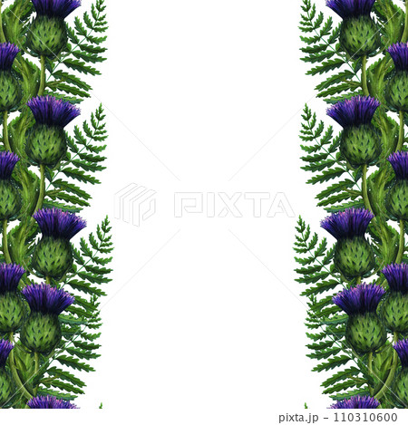 Watercolor frame of thistle and fern, wild flowers illustration, meadow herbs. Hand painted illustration for the design of stationery, posters, wallpaper. Wildlife clip art for print, fabric 110310600