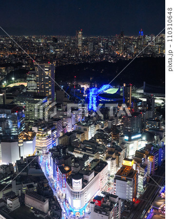 （東京都）SHIBUYA SKYから眺める代々木公園・青の洞窟 110310648