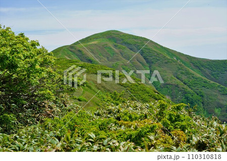 小鷲倉から和賀岳山頂への稜線 110310818