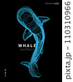 Abstract vector illustration of whale  , draw line art style. 110310966