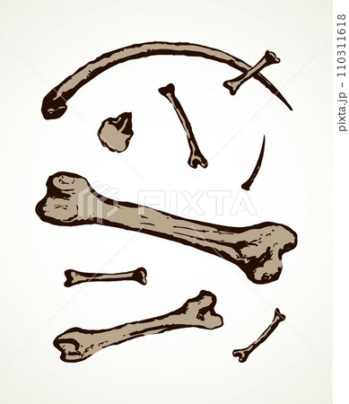 Series of vector illustrations of archaeological finds. Animal bones and fish hooks from bone 110311618