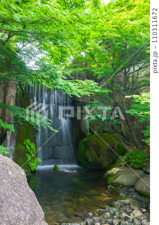 徳川園 徳川園 110311672