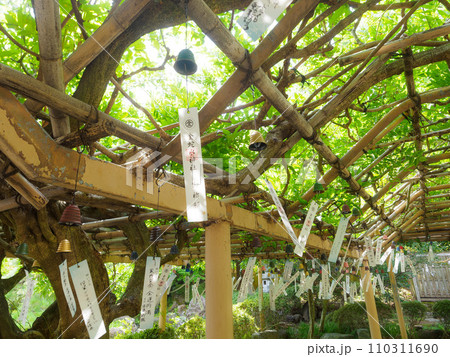 たくさんの鉄風鈴と木影 110311690