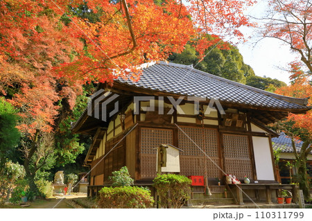 清閑寺本堂と紅葉 110311799