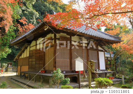 清閑寺本堂と紅葉 110311801