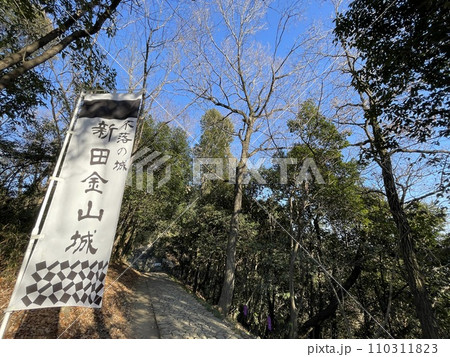 日本100名城。関東7名城。群馬県太田市にある新田金山城 110311823