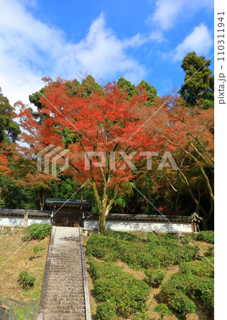 高倉天皇後清閑寺陵と紅葉 110311941