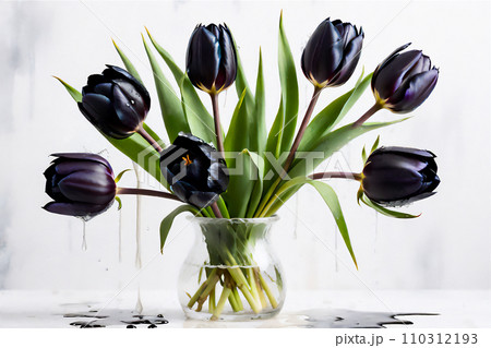 Beautiful dark purple tulips. 110312193