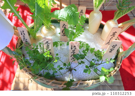 七草かご 春の七草の寄せ植え 七草かご 春の七草の寄せ植え 110312253